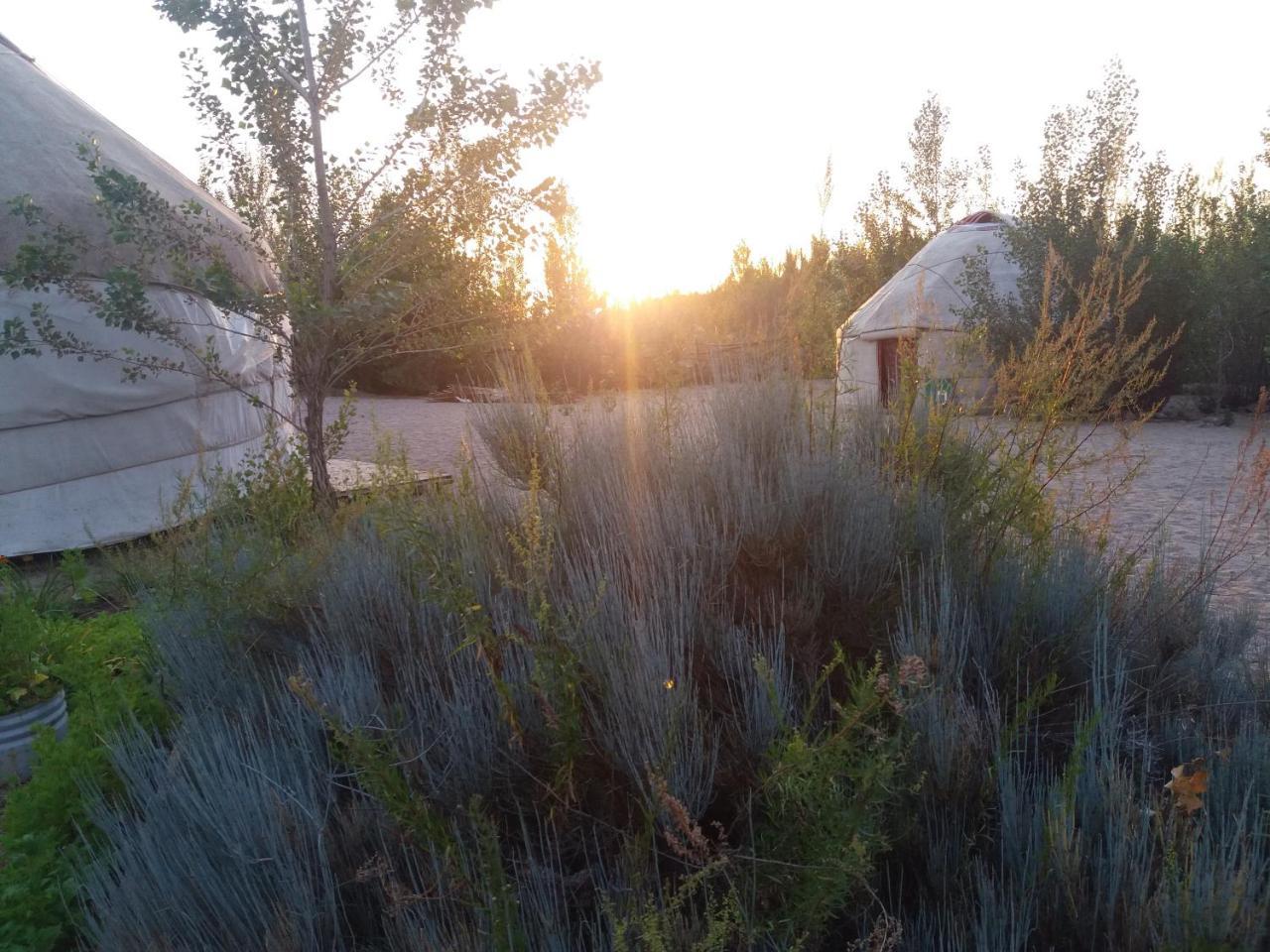 Yurt Camp Tosor Tossor Exterior foto